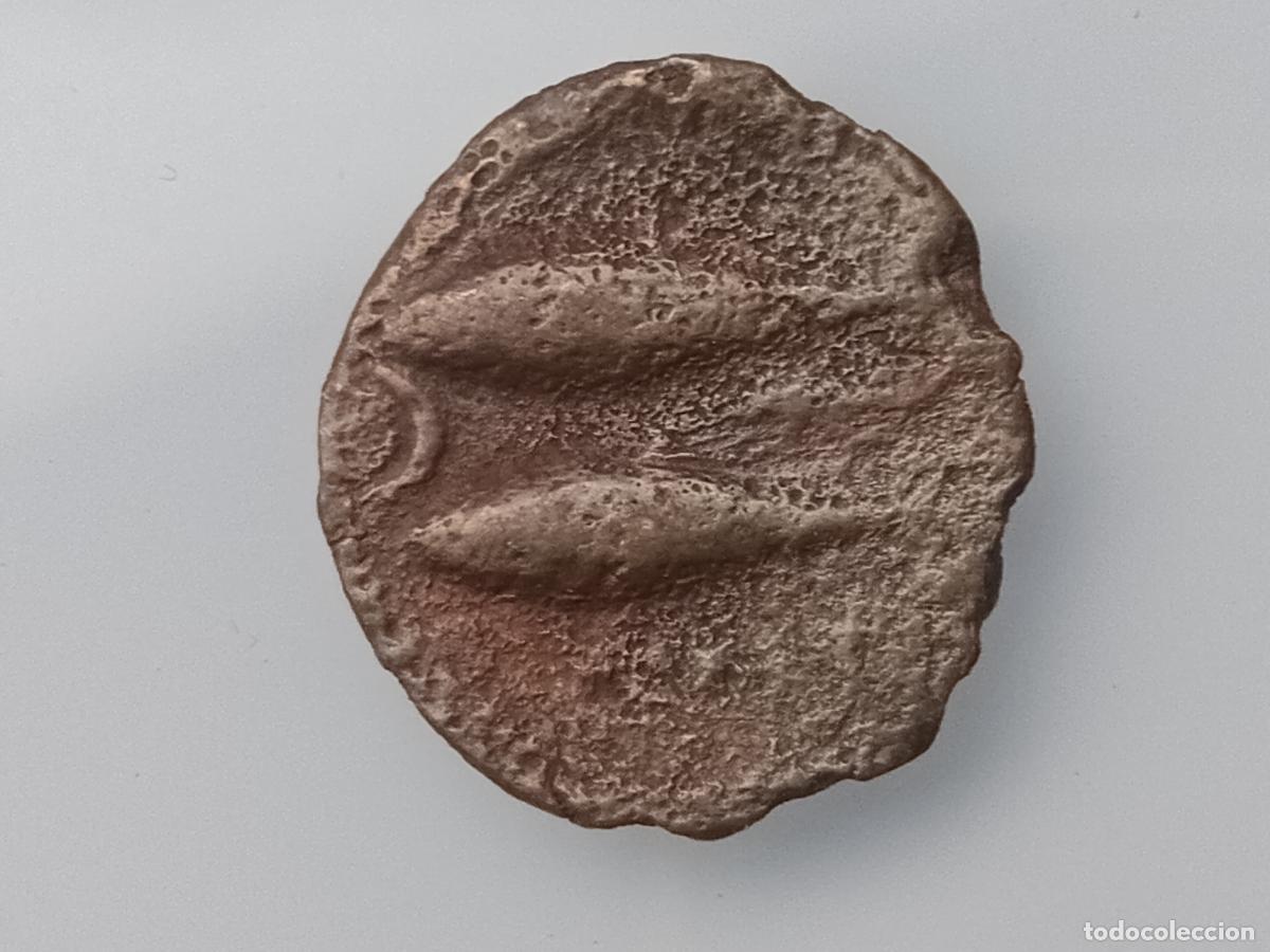 Monedas ib&eacute;ricas: SEMIS DE GADES GADIR - Foto 2