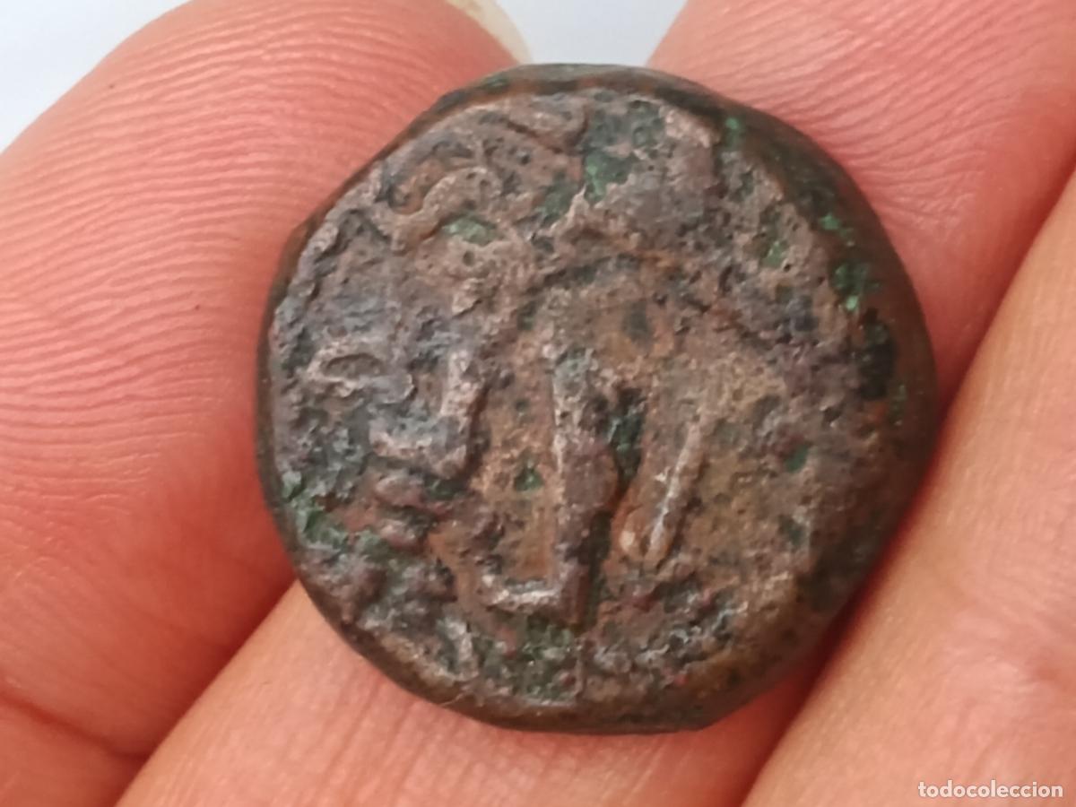 Monedas ib&eacute;ricas: IBERICA DEL SUR. SEMIS. CARTEIA - Foto 2