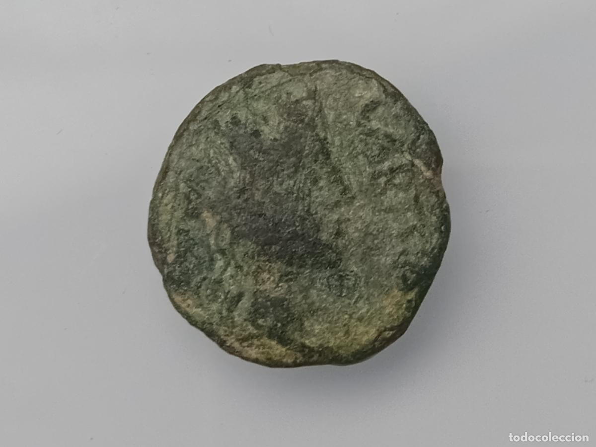 Monedas ib&eacute;ricas: IBERICA DEL SUR. CUADRANTE. CARTEIA