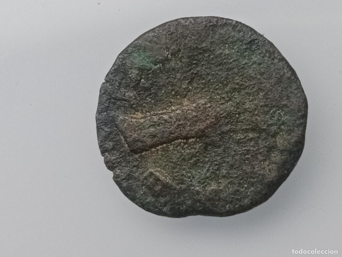 Monedas ib&eacute;ricas: IBERICA DEL SUR. CUADRANTE. CARTEIA - Foto 2