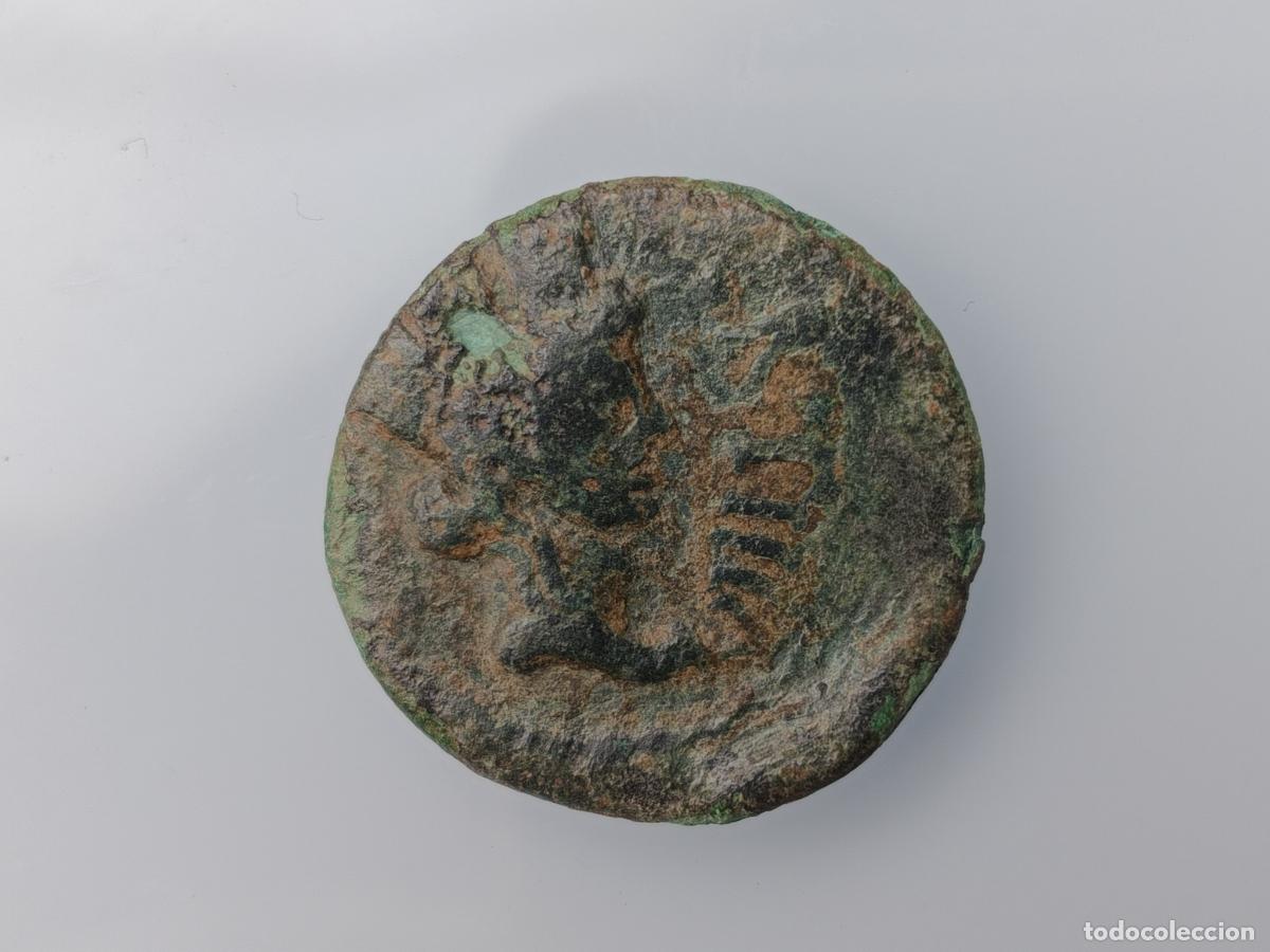Monedas ib&eacute;ricas: SEMIS DE CARTEIA. MONEDA IBERICA - Foto 2