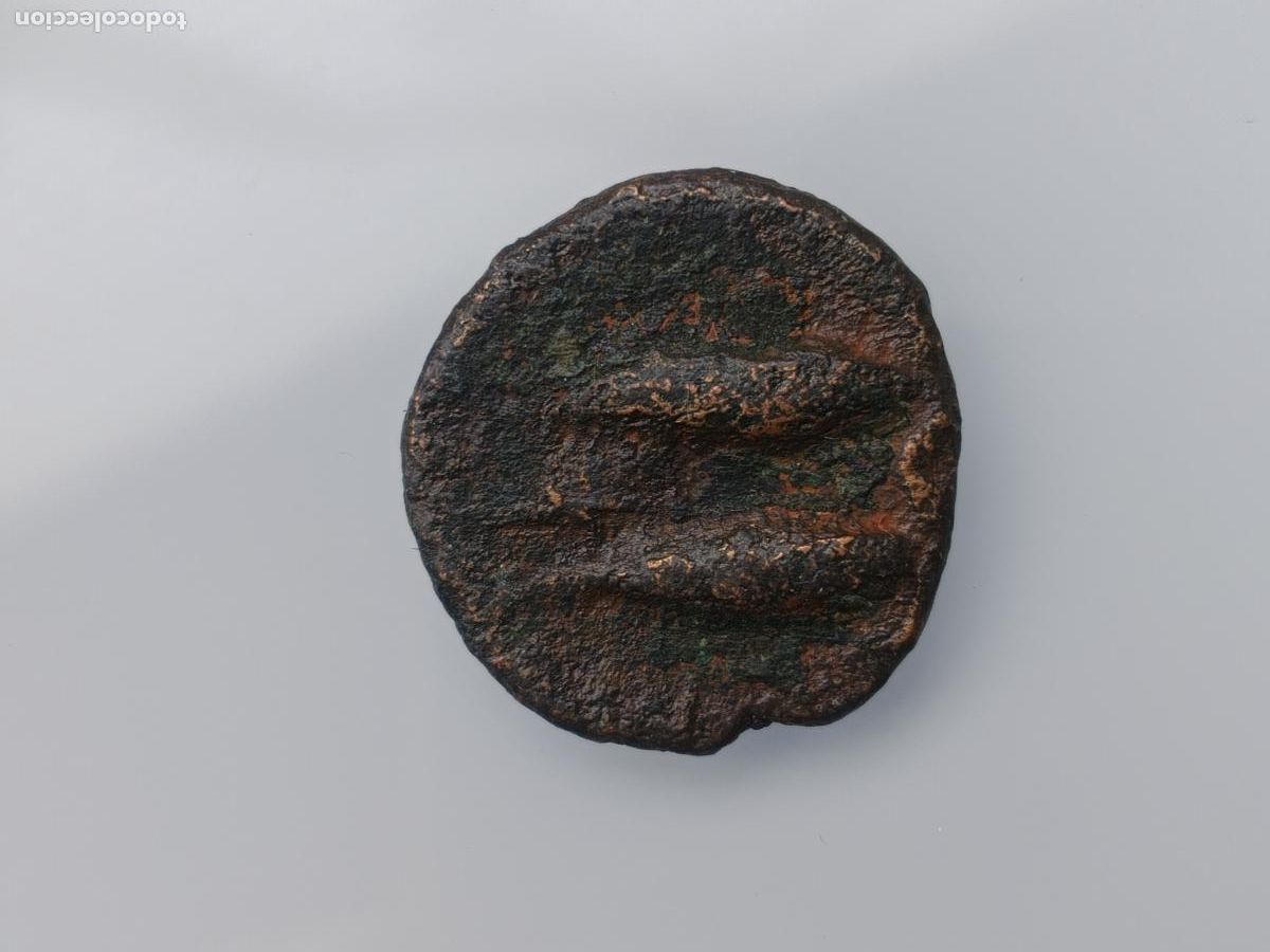 Monedas ib&eacute;ricas: SEMIS DE GADES GADIR - Foto 2