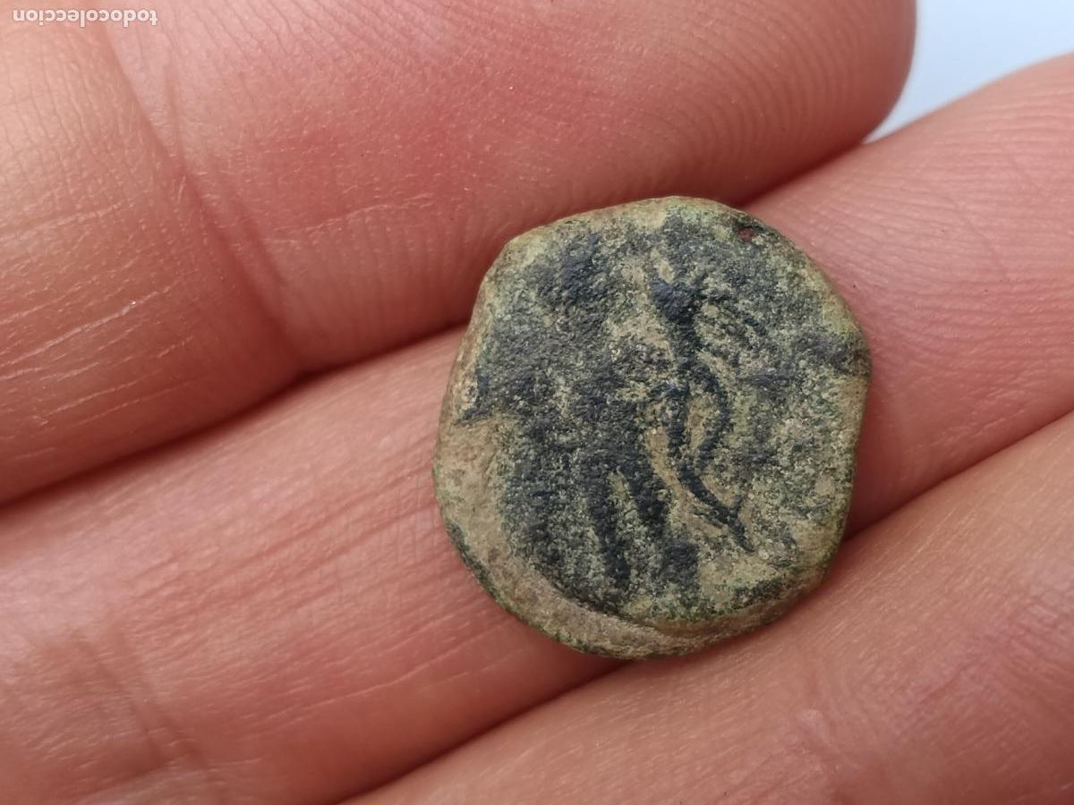 Monedas ib&eacute;ricas: CUADRANTE IBERICO, CORDUBA