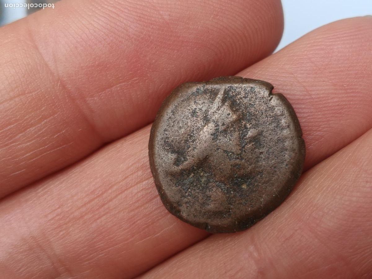 Monedas ib&eacute;ricas: CUADRANTE IBERICO, POSIBLE CORDUBA - Foto 2