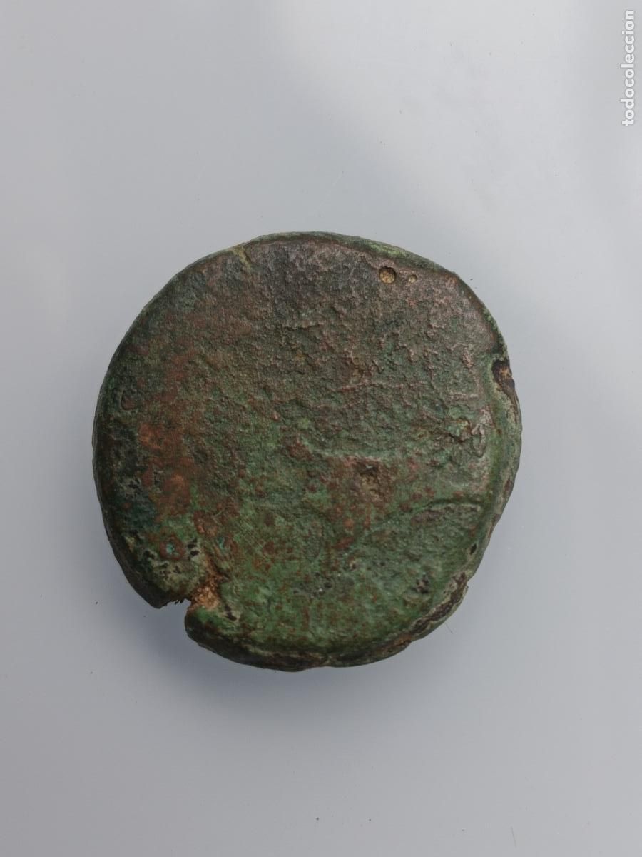 Monedas ib&eacute;ricas: Semis Carteia. Delf&iacute;n/Tim&oacute;n - Foto 2