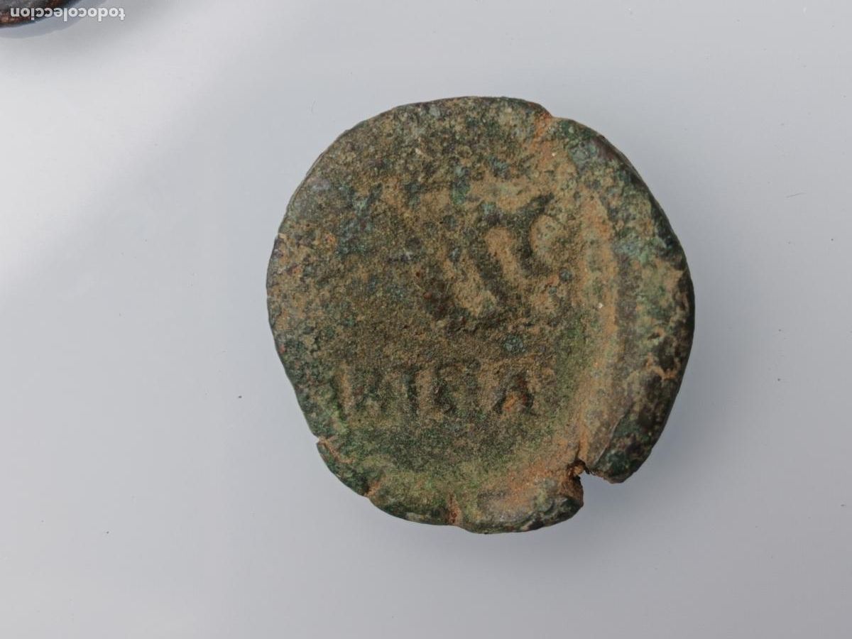Monedas ib&eacute;ricas: Semis Carteia. Delf&iacute;n/Tim&oacute;n