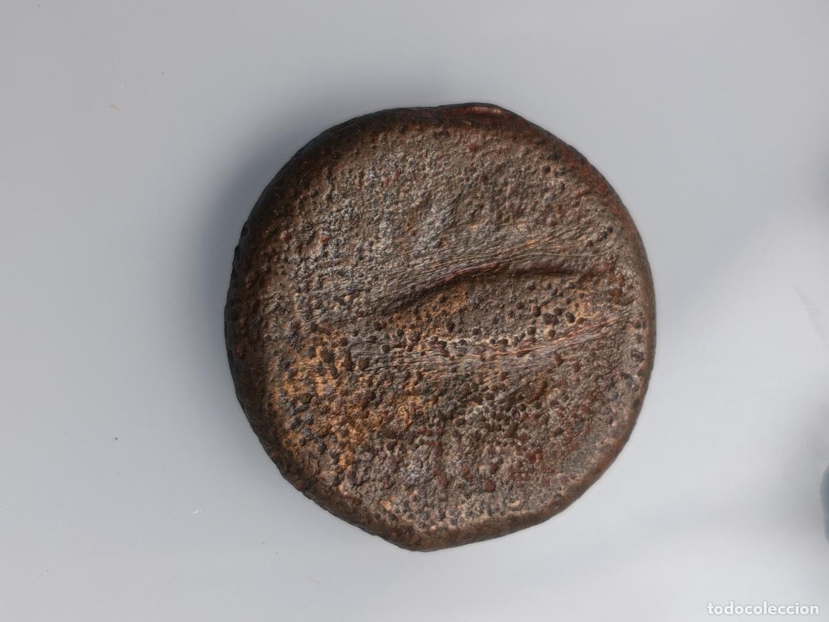 Monedas ib&eacute;ricas: Gades, C&aacute;diz. Tipo semis - Foto 2