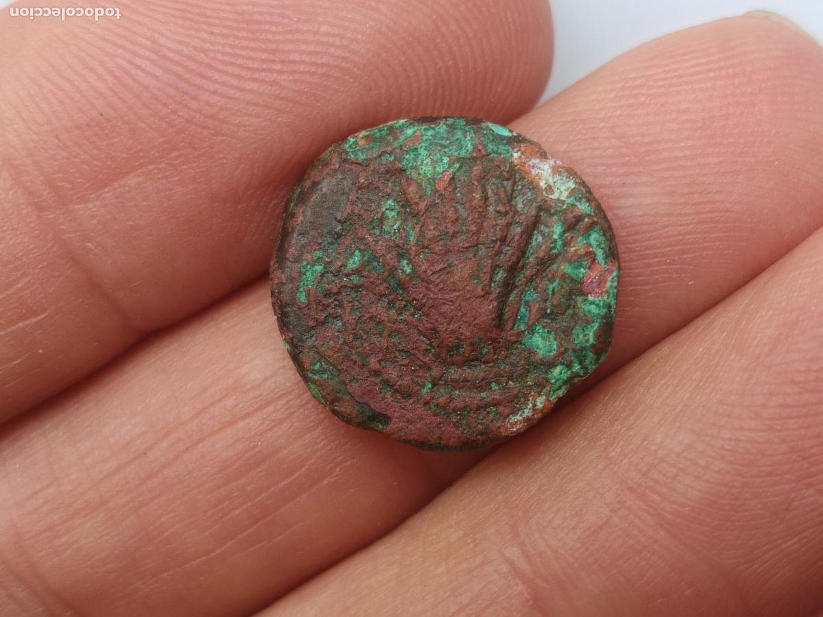 Monedas ib&eacute;ricas: ARSE-SAGUNTO - CUADRANTE - (170-20 a.C.) SAGUNTO (VALENCIA)