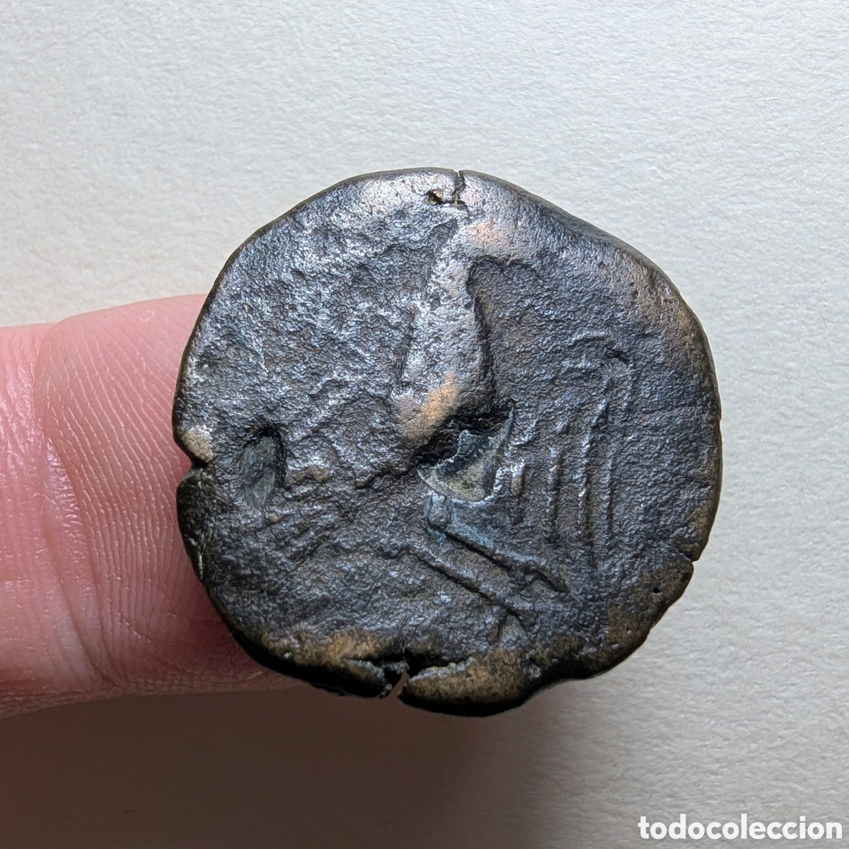 Monnaies ib&eacute;riques: Semis &iacute;bero Obulco 165-110 a.C.