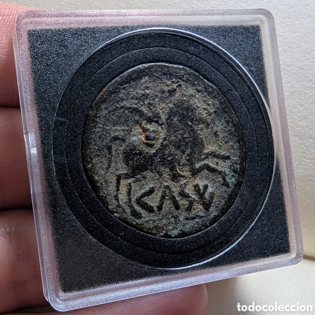 Monedas ib&eacute;ricas: Moneda &iacute;bera Kelse/Celsa &rdquo;biling&uuml;e&rdquo; 49-44 a.C. &rdquo;m&oacute;dulo grande&rdquo; - Foto 10