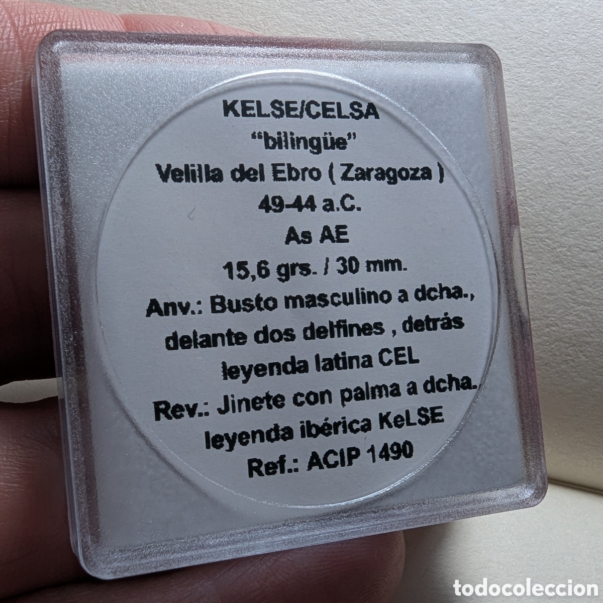 Monedas ib&eacute;ricas: Moneda &iacute;bera Kelse/Celsa &rdquo;biling&uuml;e&rdquo; 49-44 a.C. &rdquo;m&oacute;dulo grande&rdquo; - Foto 11