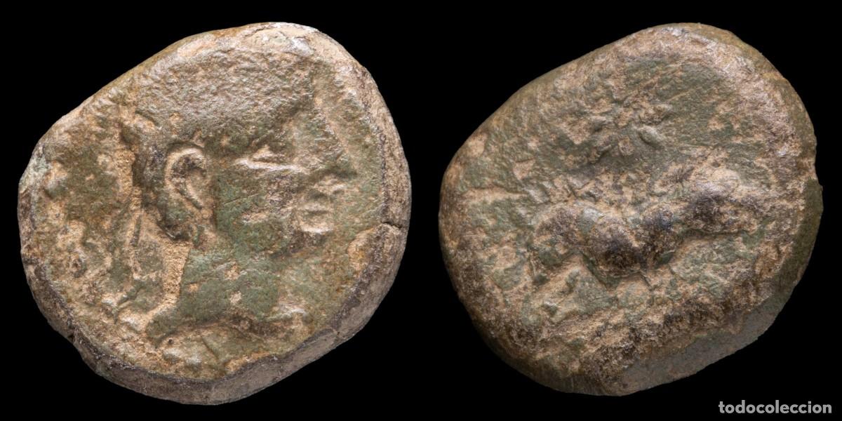 Monedas ib&eacute;ricas: Ancient Hispania - Quadrans Castulo (Cazlona, Jaen) - 15 mm / 2,94 gr.