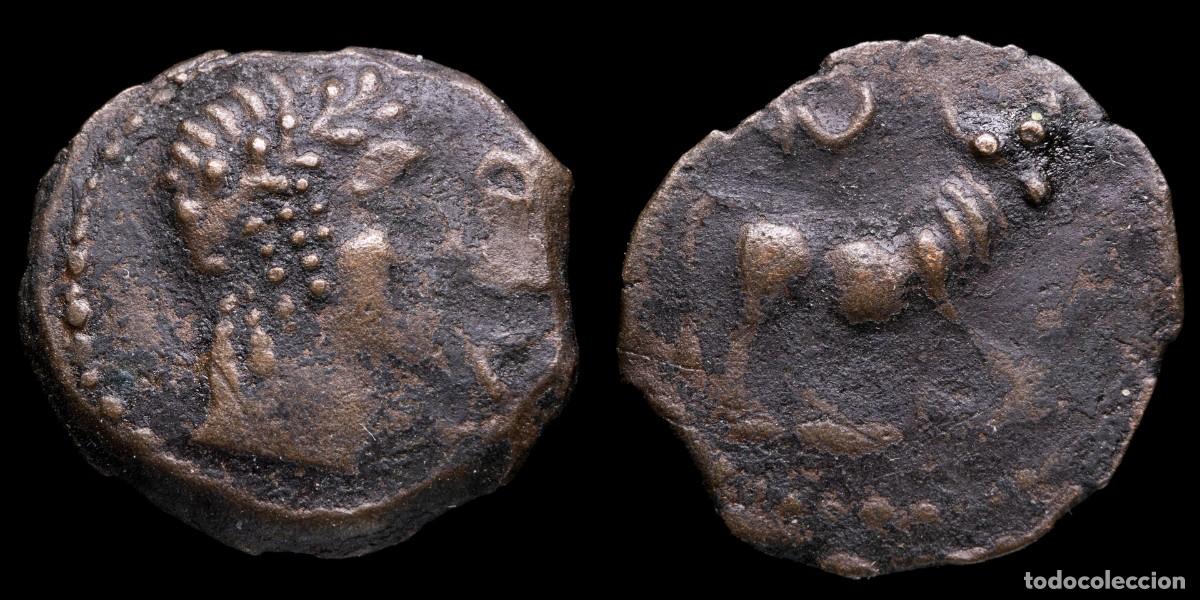 Monedas ib&eacute;ricas: Ancient Hispania - Castulo, Cazlona (Jaen), Ae Quadrans - 20 mm / 3,84 gr.