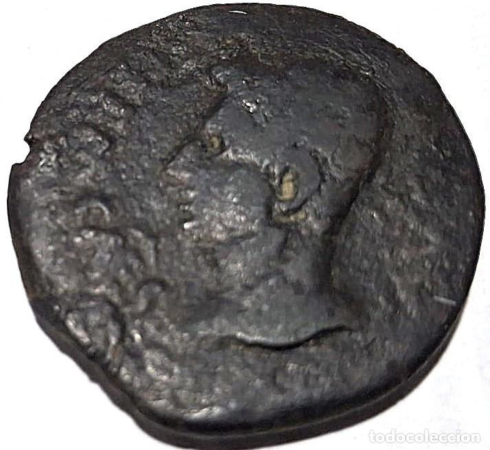 Monedas ib&eacute;ricas: Colonia Patricia, C&oacute;rdoba: 14 a.C-14 d.C: AS, FAB-1989./ Ver Fotos.