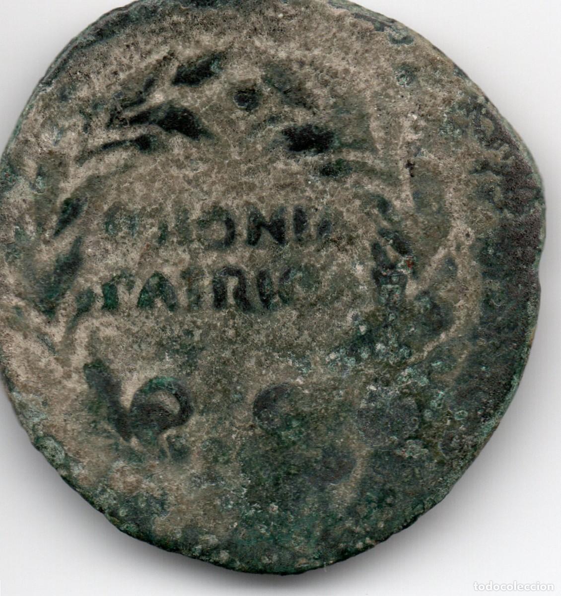 Iberian Coins: moneda as de colonia patricia augusto