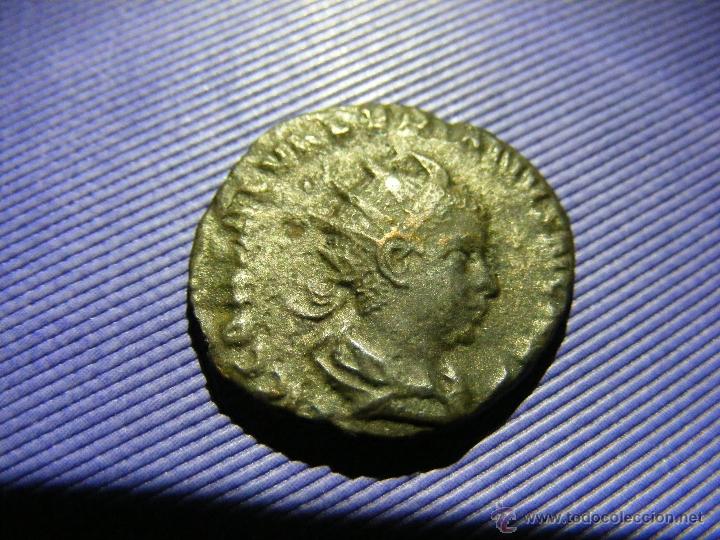 Monedas Imperio romano: Moneda Saloninus Caesar (256) - MUY RARA - Foto 3