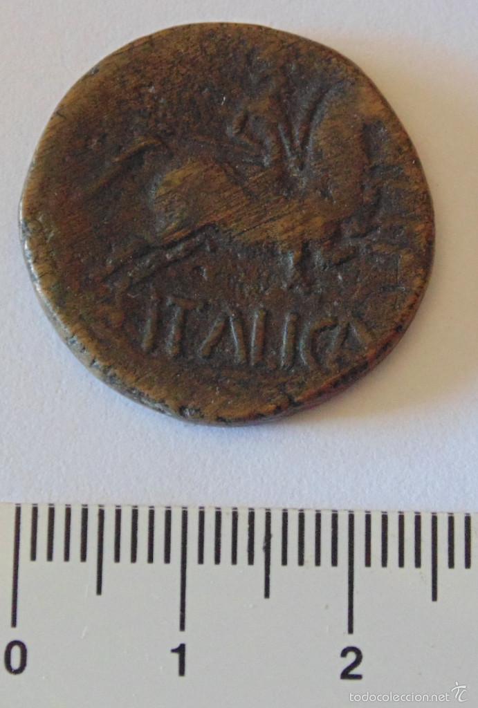 Monedas Imperio romano: As de Bibilis (Calatayud, Zaragoza) - Foto 1