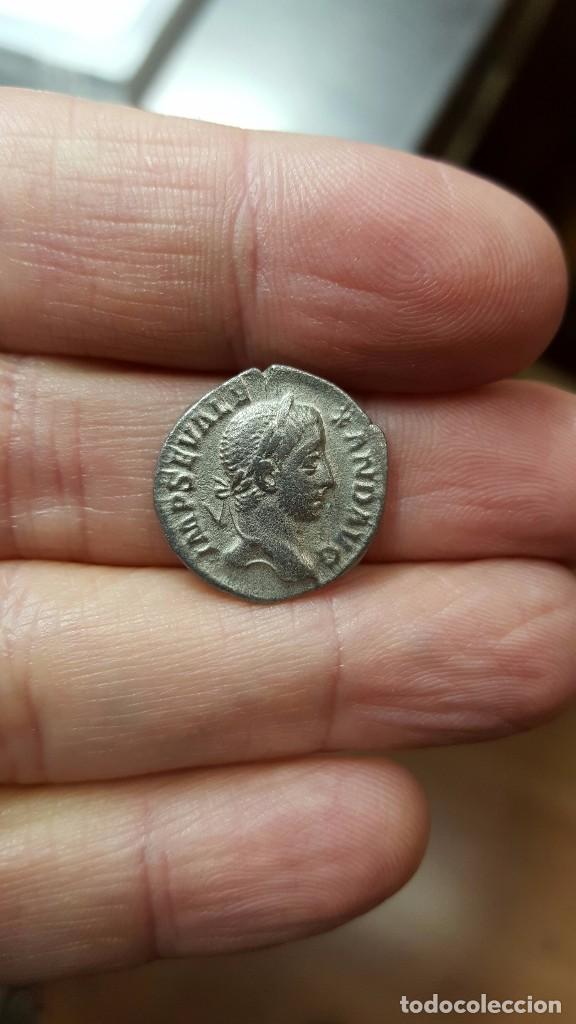 Monedas Imperio romano: FR- BONITO DENARIO DE ALEJANDRO SEVERO. REVERSO: VIRTUS - Foto 1