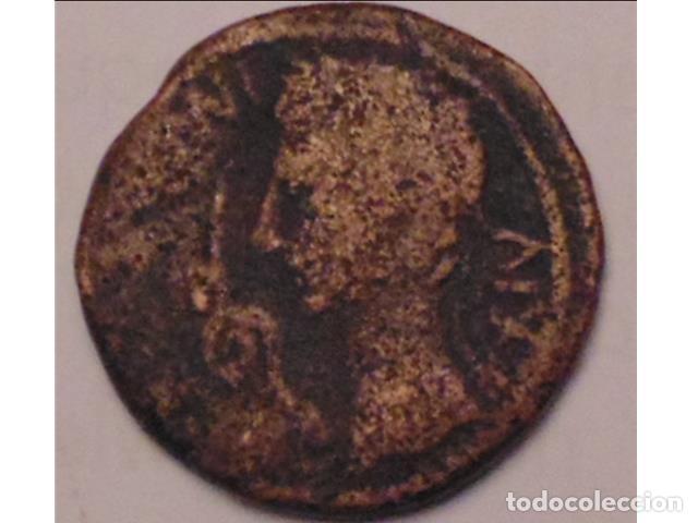Monedas Imperio romano: Semis. Caesaraugusta (Zaragoza) - Foto 1