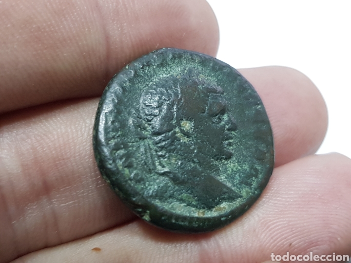 Monedas Imperio romano: Caracalla, As. BC+ - Foto 9
