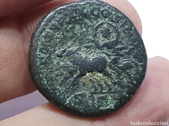 Monedas Imperio romano: Caracalla, As. BC+ - Foto 13