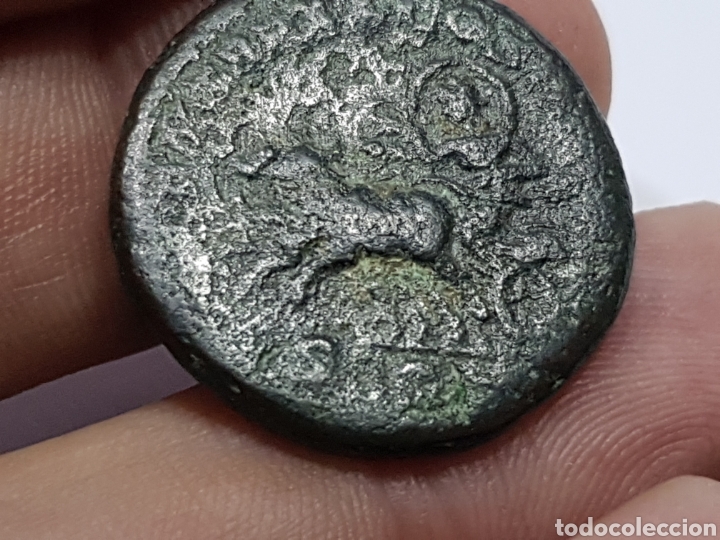 Monedas Imperio romano: Caracalla, As. BC+ - Foto 14