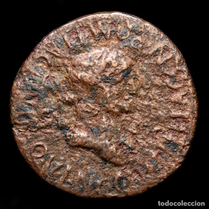 Monedas Imperio Romano: CALIGULA 37- 41 DC. AS DE CARTAGONOVA, ESPAÑA CAESONIA COMO SALUS. Lote 249458130