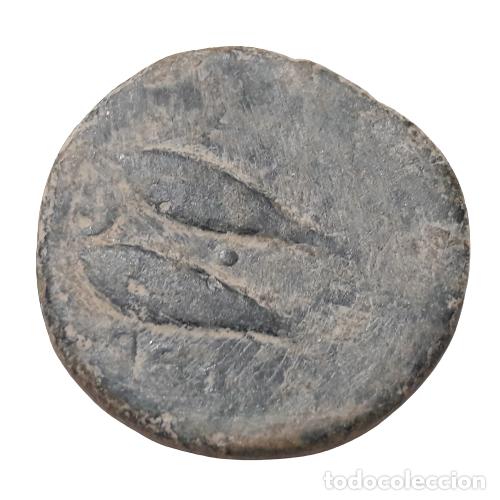 Monete Impero Romano: GADES AS