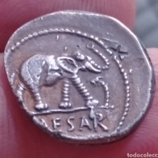 Monedas Imperio Romano: DENARIO DE JULIO CÉSAR DEL ELEFANTE CON RESELLO. Lote 335352653