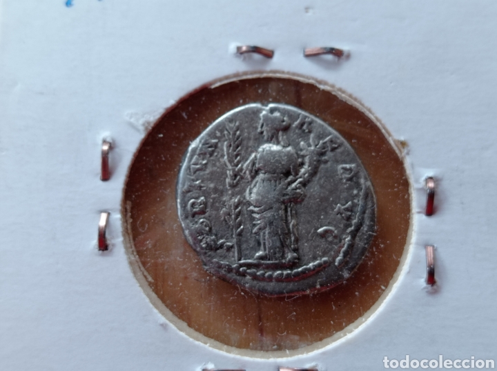 Monedas Imperio romano: Denario romano de plata , s&eacute;ptimo severo 193-211 D,C, - Foto 3