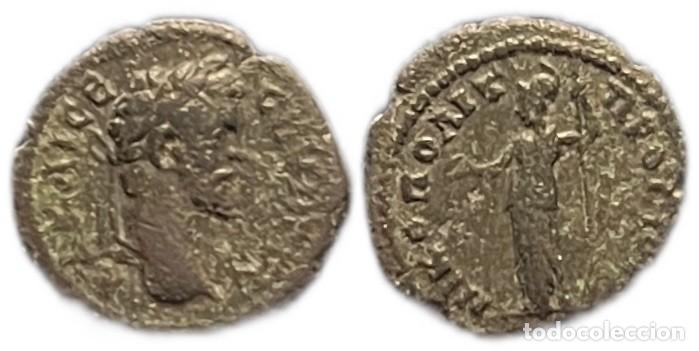 Monedas Imperio romano: IMPERIO ROMANO. SEPTIMIO SEVERO. CUADRANTE PROVINCIAL. MINERVA - Foto 3