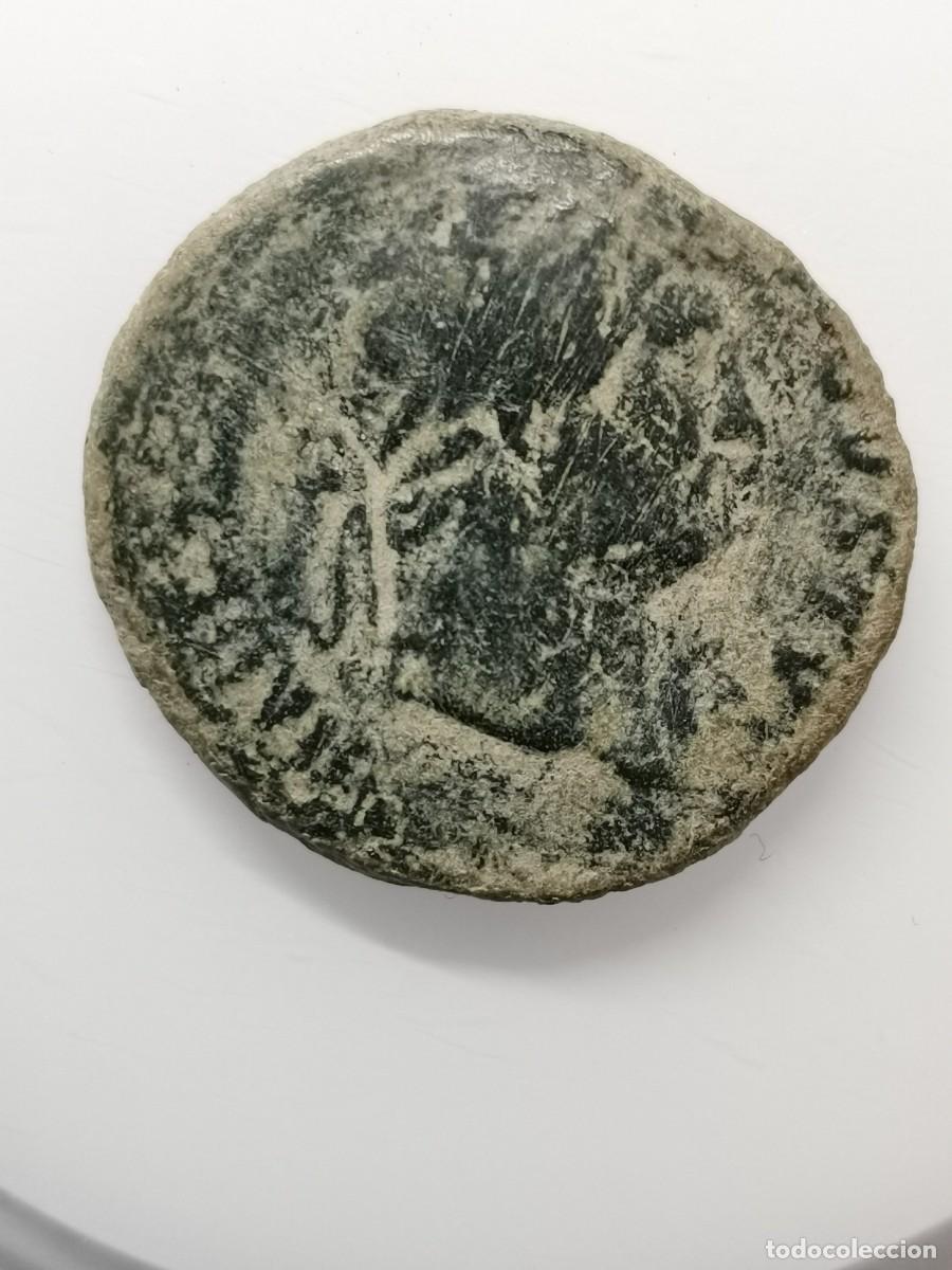 Monedas Imperio romano: ADRIANO AVGVSTVS - AS - MINERVA - (126 d.C.) - Foto 5