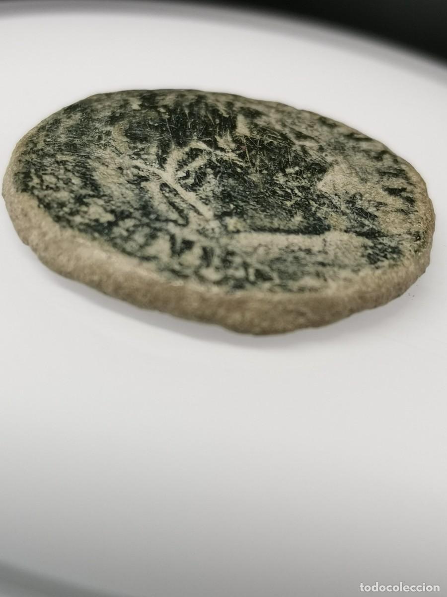 Monedas Imperio romano: ADRIANO AVGVSTVS - AS - MINERVA - (126 d.C.) - Foto 7