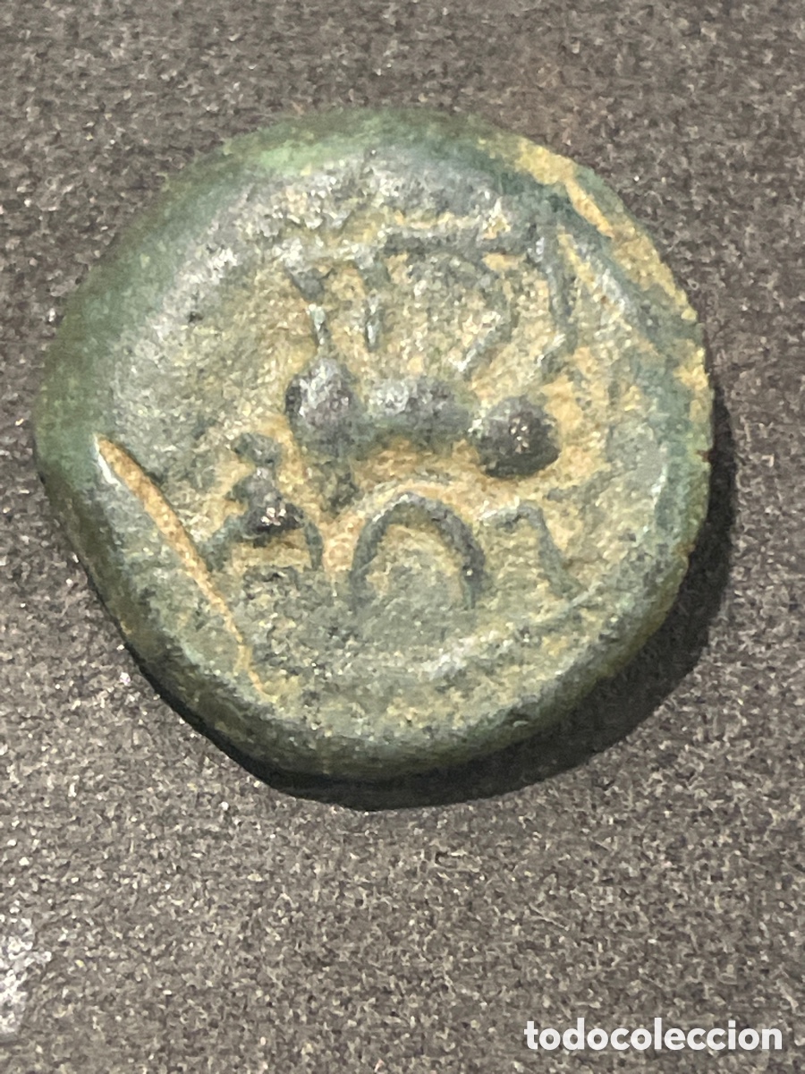 Monedas Imperio romano: MONEDA ROMANA SEMIS CASTULO - Foto 4
