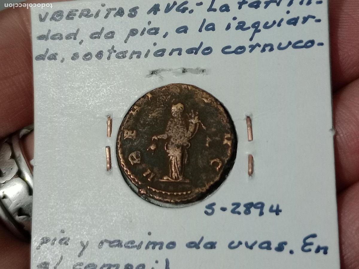 Monedas Imperio romano: Galieno. Antoniniano - Foto 2