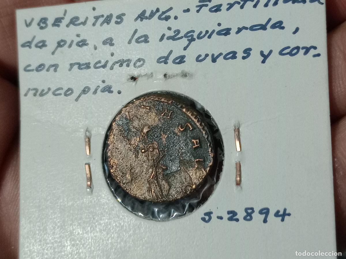 Monedas Imperio romano: Galieno. Antoniniano - Foto 2