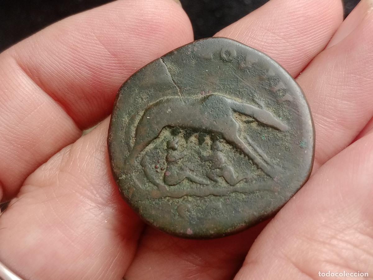 Monedas Imperio romano: Sestercio de Antonino P&iacute;o. Loba - Foto 1