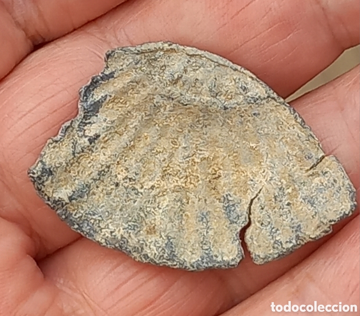 Monedas Imperio romano: CONCHA PREMONEDA 9.51 GRA 42 mm largo - Foto 2