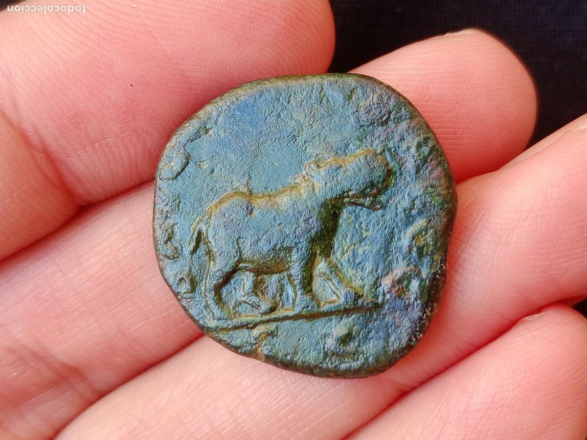 Monedas Imperio romano: Raro sestercio de Otacilia Severa. HIPOPOTAMO - Foto 1