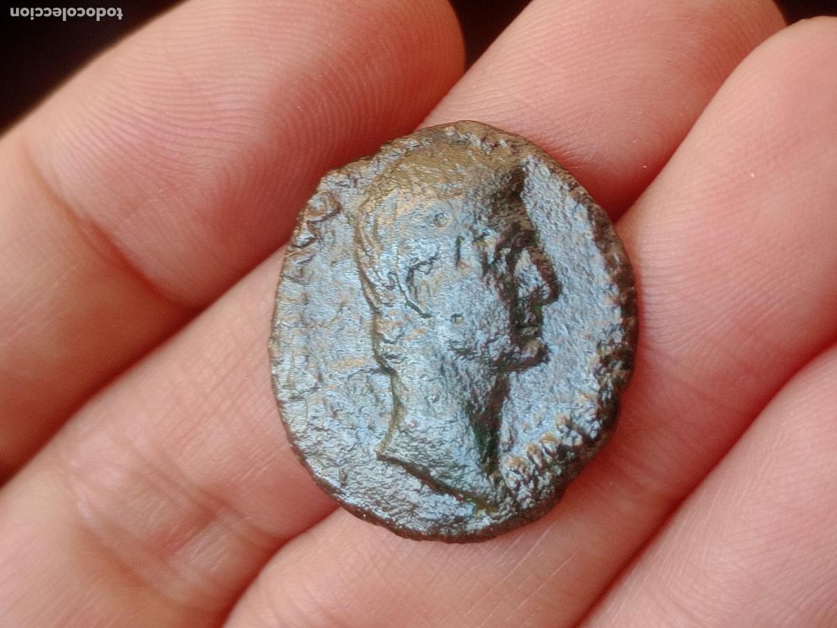 Monedas Imperio romano: Raro as de Druso. Nero Drusus - Foto 1