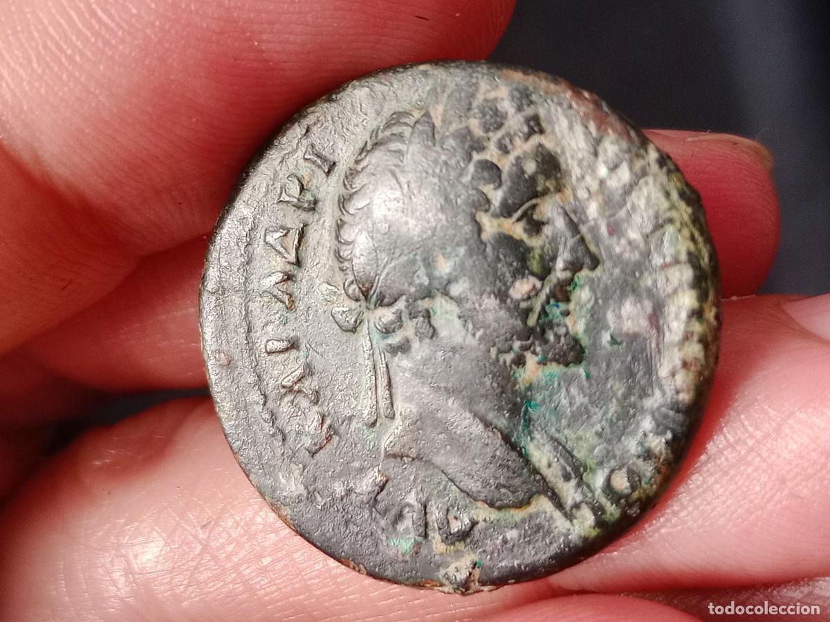 Monedas Imperio romano: Antonino P&iacute;o. Antoninus Pius. Synnada, Phrygia, Turqu&iacute;a, Asia Menor. AE30, Zeus, MUY RARA