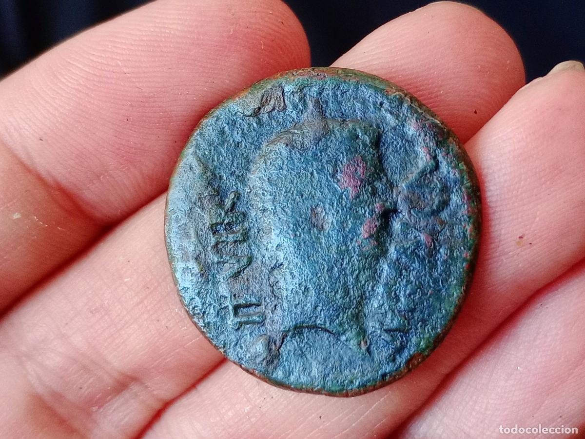 Monedas Imperio romano: As romano de Calagurris, Calahorra - Foto 2