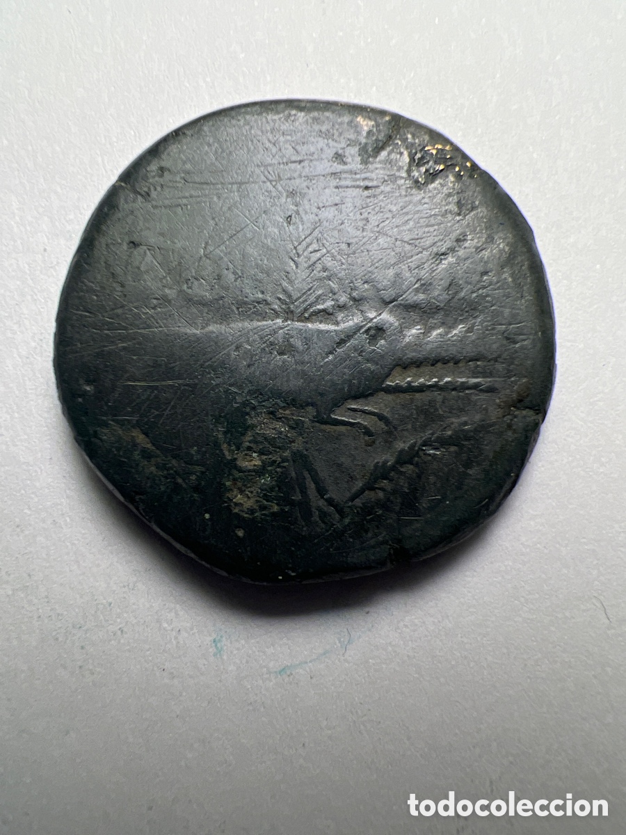 Monedas Imperio romano: Dupondius Col Nem Nimes - Foto 2