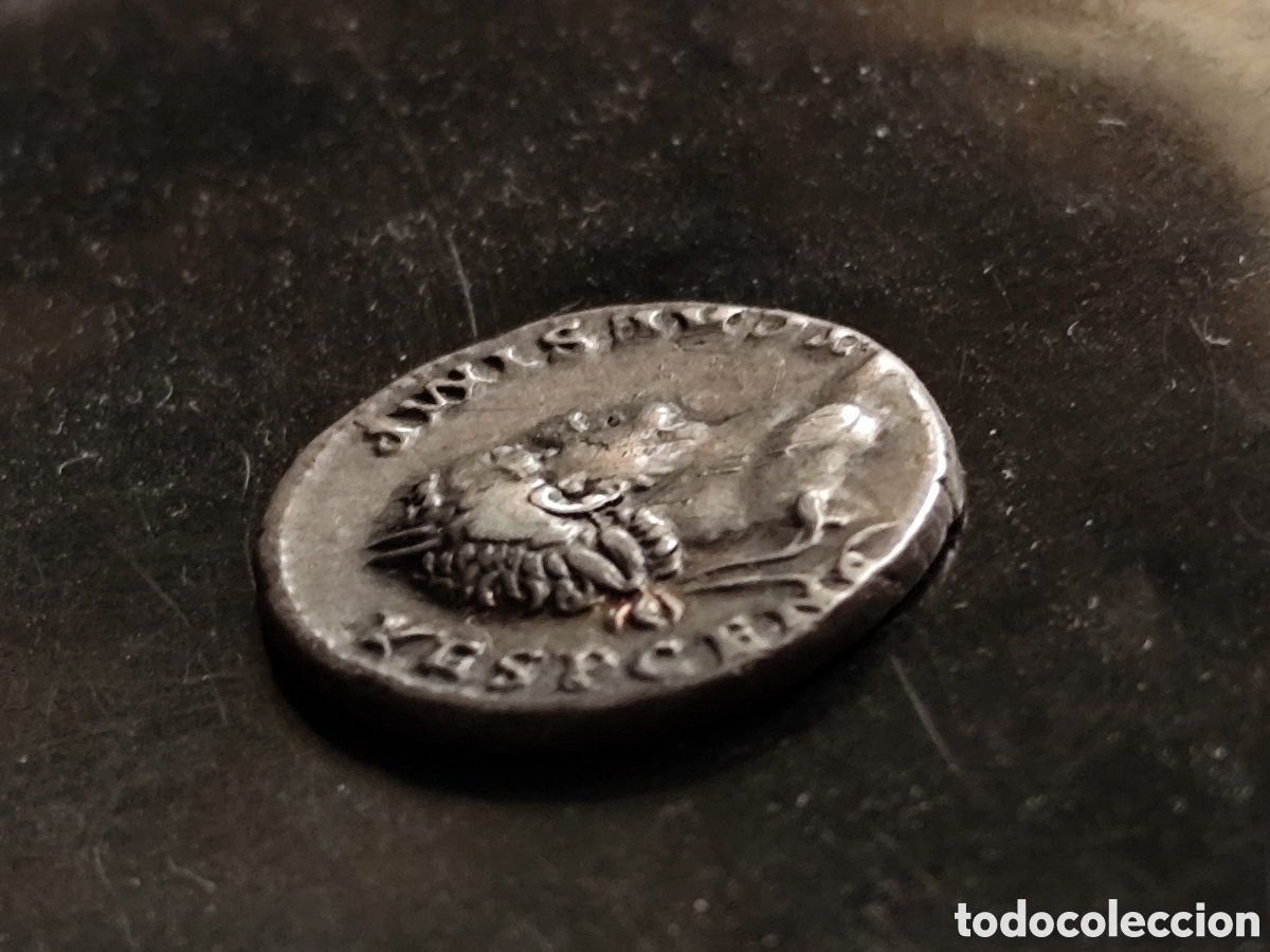 Monedas Imperio romano: Denario de Tito -Titus - Foto 7