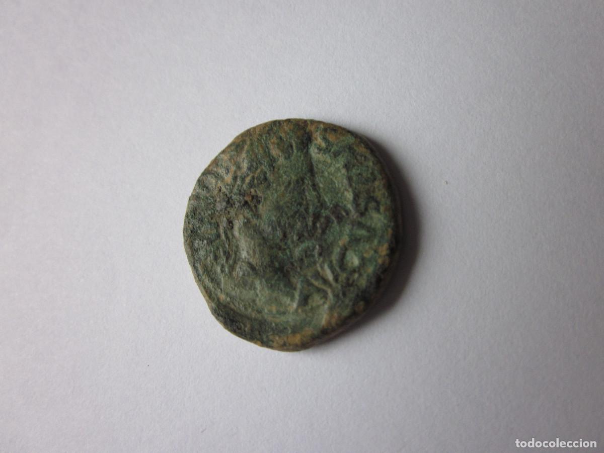 Monedas Imperio romano: Semis de Cartagonova. Augusto. - Foto 1