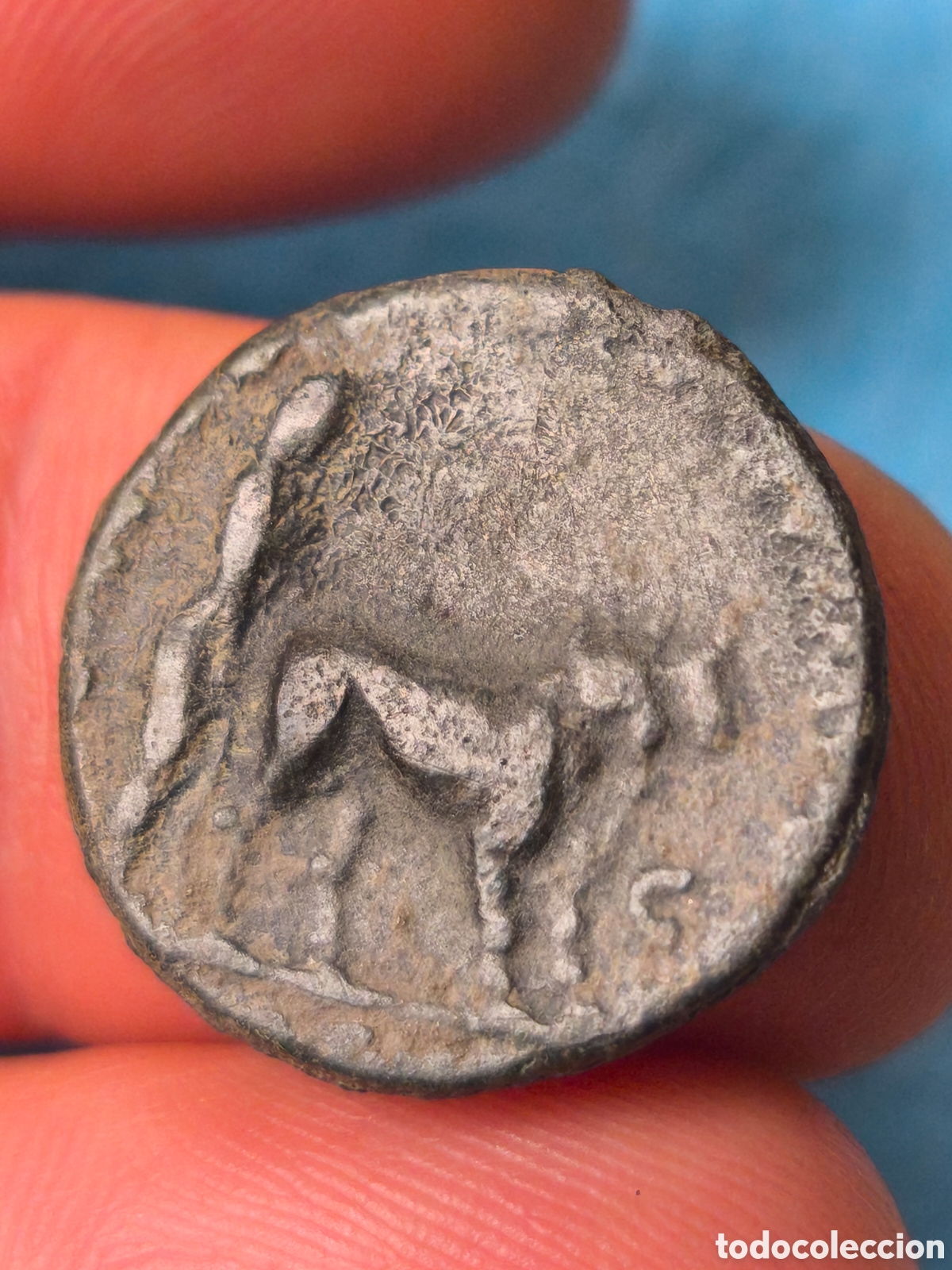 Roman Empire Coins: C&oacute;modo as colonia Lanuviana moneda romana