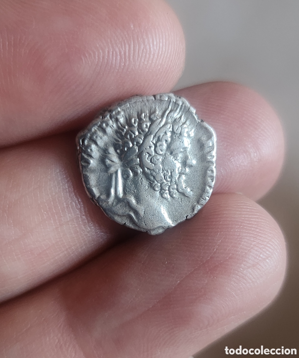 Monedas Imperio romano: Aut&eacute;ntico denario Septimio Severo - Foto 8