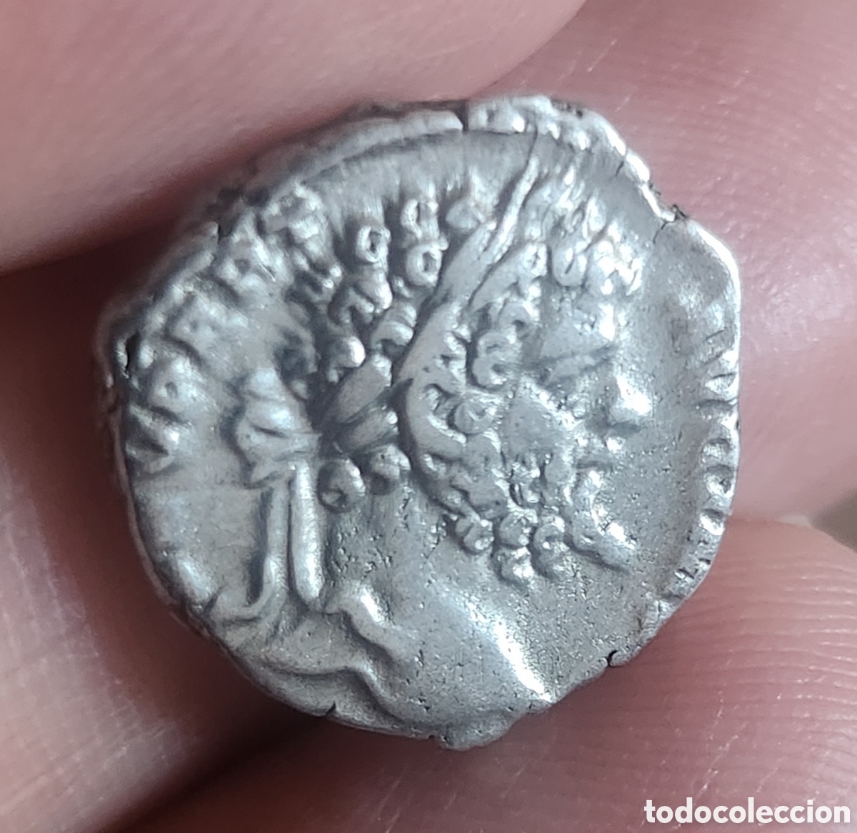 Monedas Imperio romano: Aut&eacute;ntico denario Septimio Severo - Foto 1