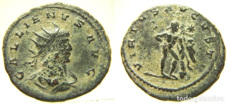Monedas Imperio Romano: Moneda de Gallieno, reverso VIRTVS AVGVSTI, H&eacute;rcules Farnesio de pie Estrella en el campo derecho