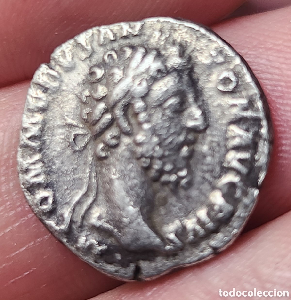 Aut&eacute;ntico Denario Comodo